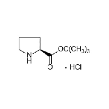 Macklin L C L Proline Tert Butyl Ester