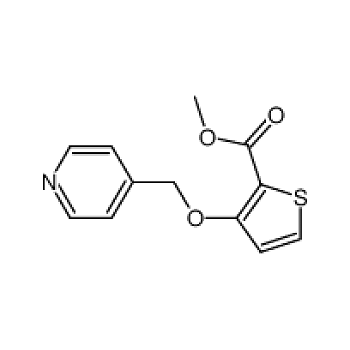 Abcam Anti Claudin Ab