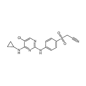 Abcam Anti Jnk Jnk Jnk Epr Bsa And Azide Free