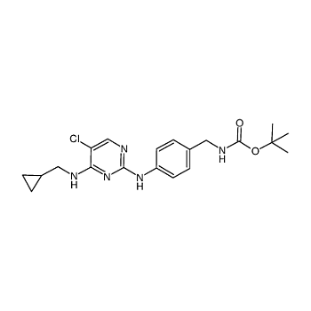 ABCAM Anti IL4R phospho Y497 抗体 ab61099 实验室用品商城