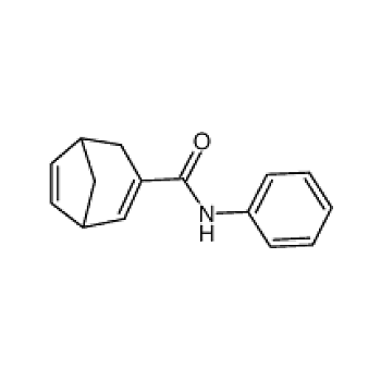 Abcam Anti Jnk Jnk Ab