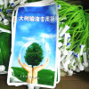 缩略图 4