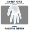 缩略图 5