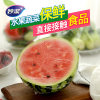 缩略图 3