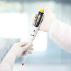 缩略图 7