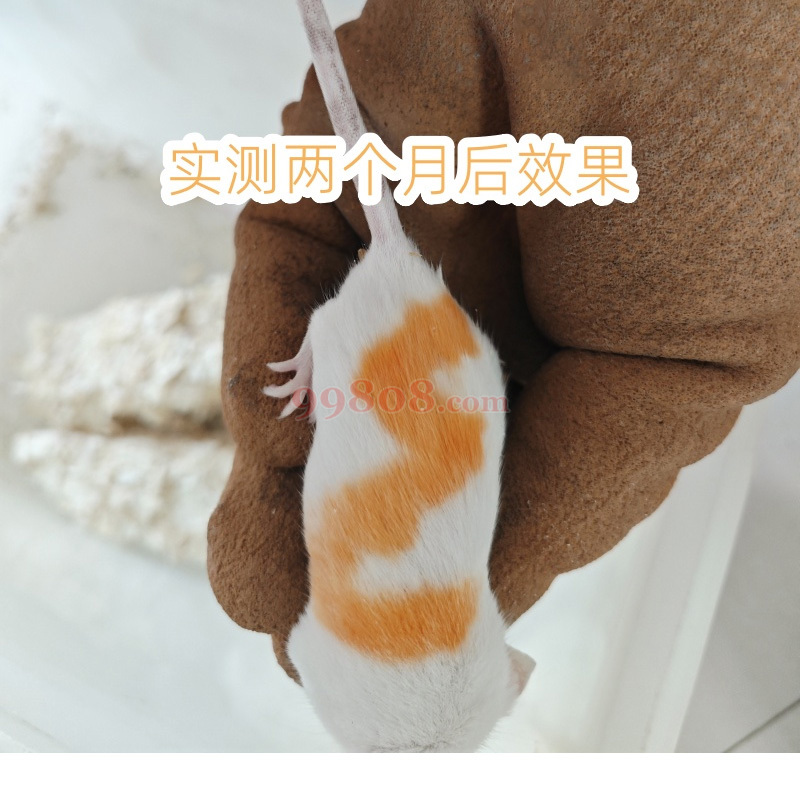 Product detail 3