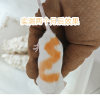 缩略图 5