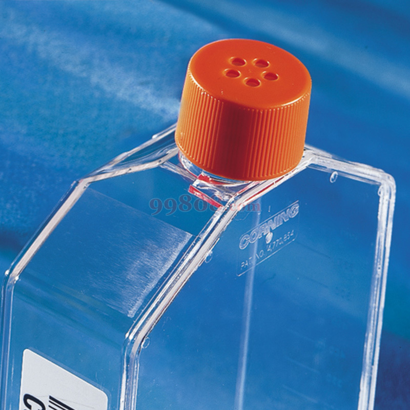 Product detail 2