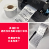 缩略图 5