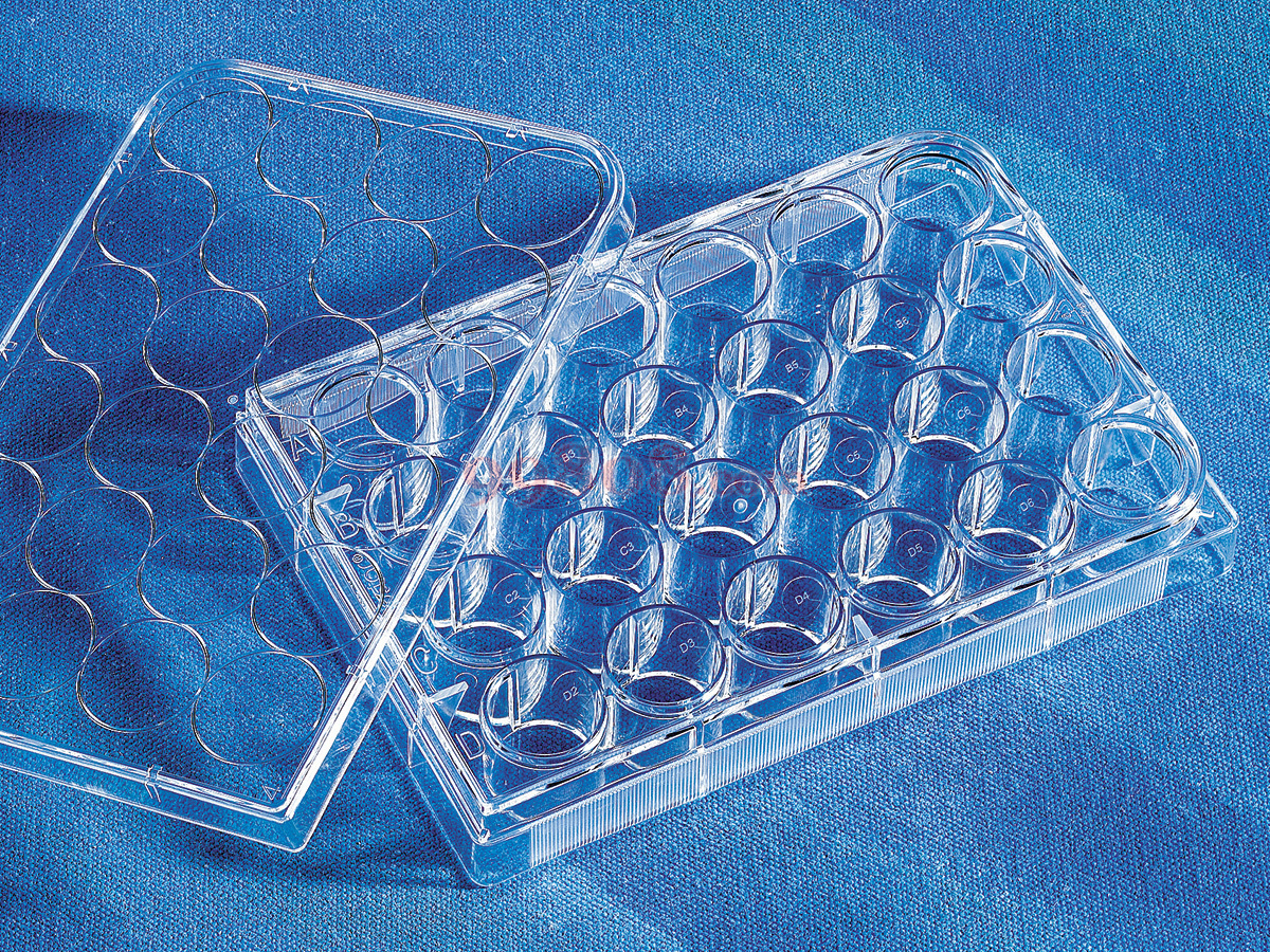 Product detail 1
