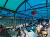 缩略图 6