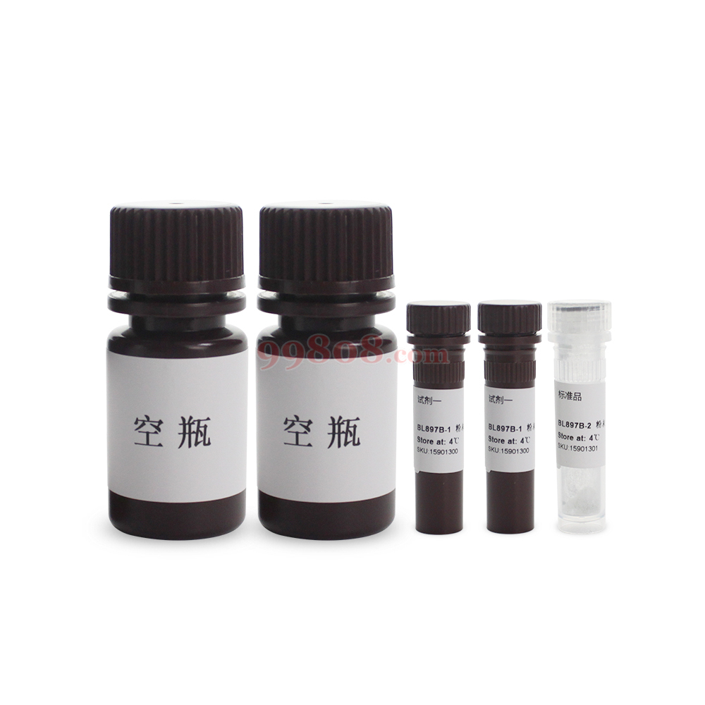 Product detail 2
