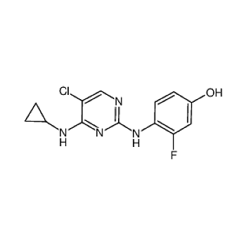 ABCAM Anti-Plakophilin 2抗体[8H6] (ab151402),-实验室用品商城