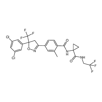 ABCAM Anti-Alpha B Crystallin抗体(ab166839),-实验室用品商城