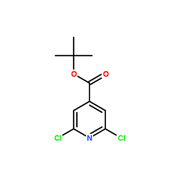 rhawn/羅恩 2,6-二氯吡啶-4-甲酸叔丁酯 tert-butyl 2,6-dichloro