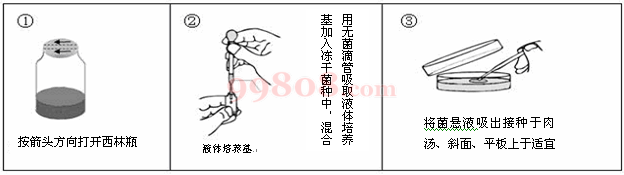 冻干菌株复苏图